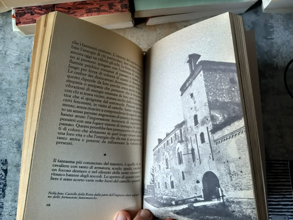 Fantasmi, spettri e case maledette. Che cosa sono e dove appaiono | Fenoglio Alberto; Fenoglio Maria