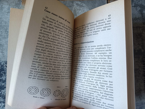 Come iniziò la vita | Irving Adler