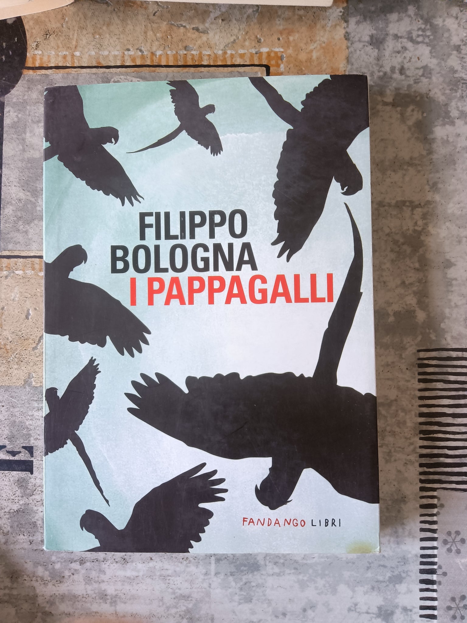 I pappagalli | Filippo Bologna