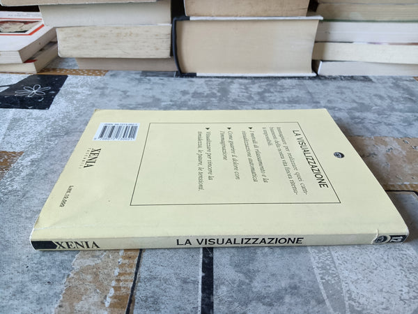 La visualizzazione. Immagini per dominare la realtà | Ursula Markham