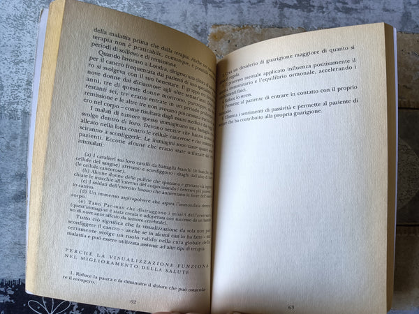 La visualizzazione. Immagini per dominare la realtà | Ursula Markham