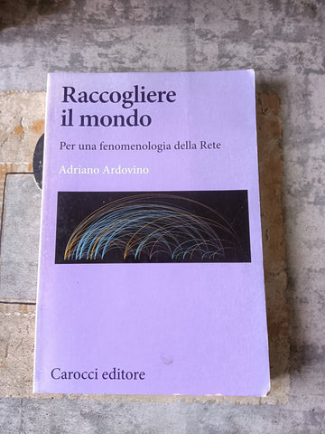 Raccogliere il mondo. Per una fenomenologia della Rete | Adriano Ardovino