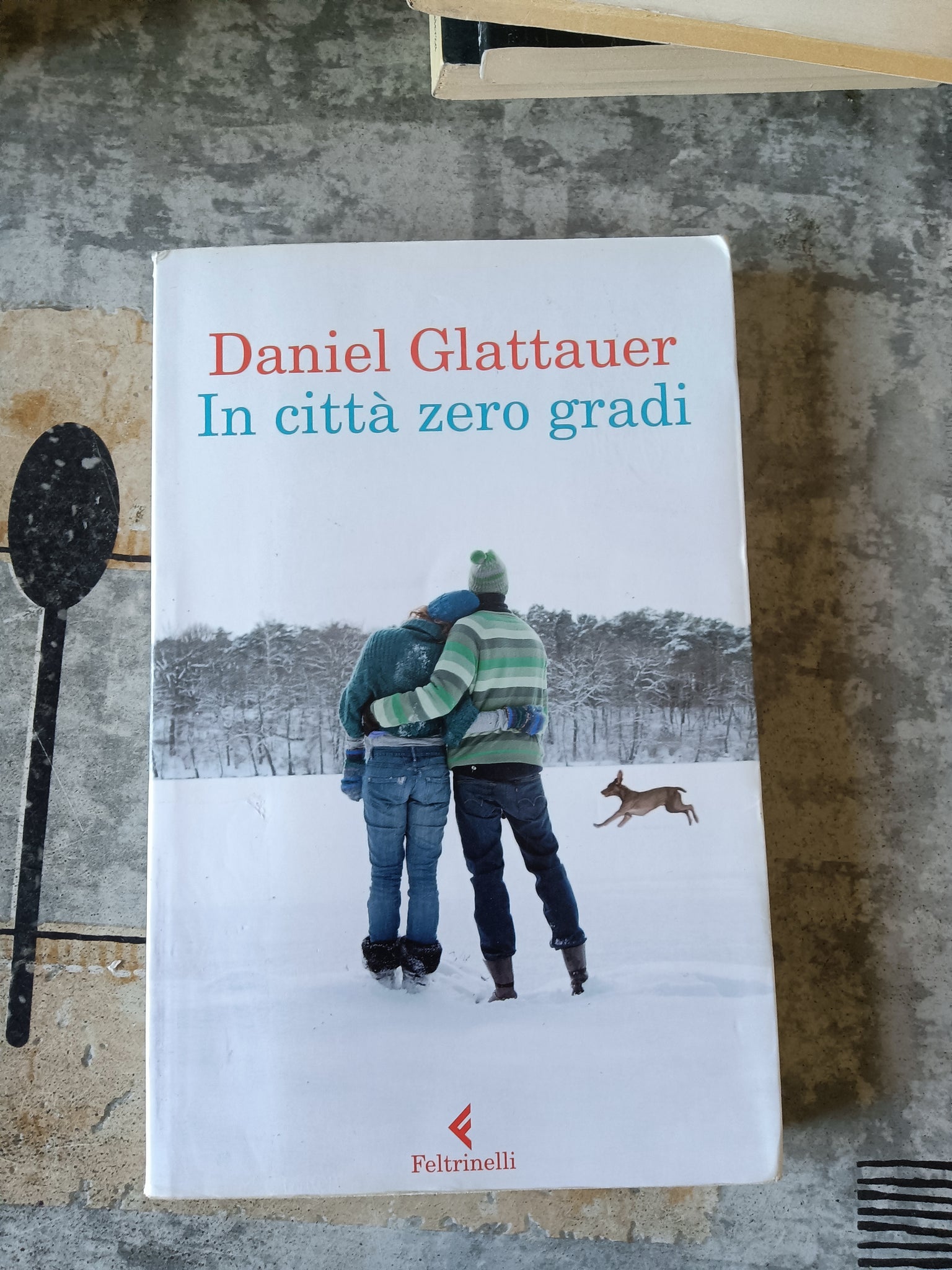 In città zero gradi | Daniel Glattauer - Feltrinelli