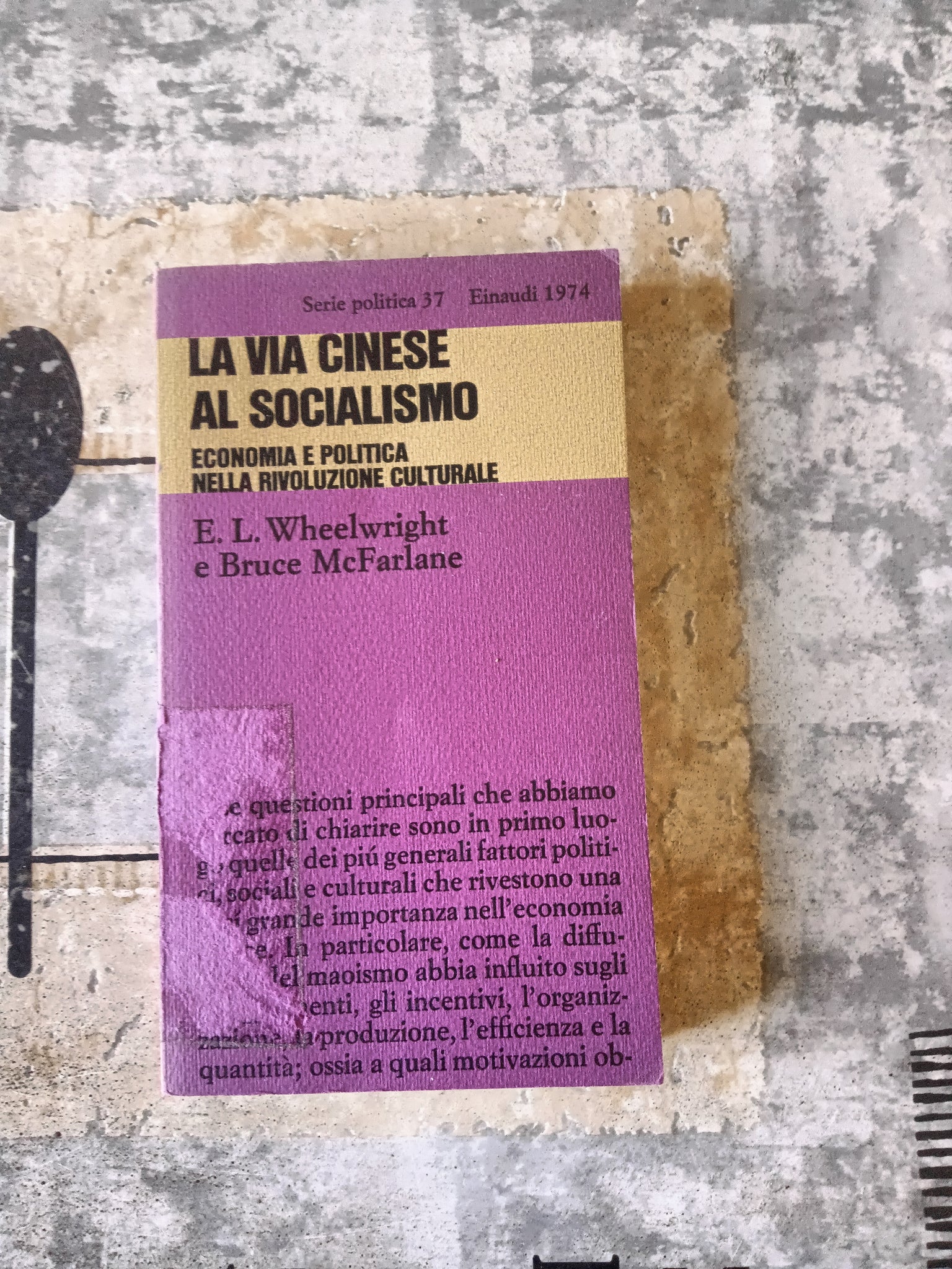 La via cinese al socialismo. Economia e Politica nella Rivoluzione Culturale | E. L. Wheelwright e Bruce McFarlane - Einaudi