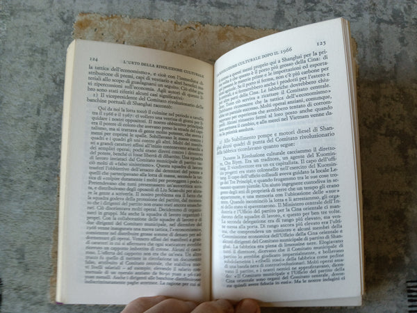 La via cinese al socialismo. Economia e Politica nella Rivoluzione Culturale | E. L. Wheelwright e Bruce McFarlane - Einaudi