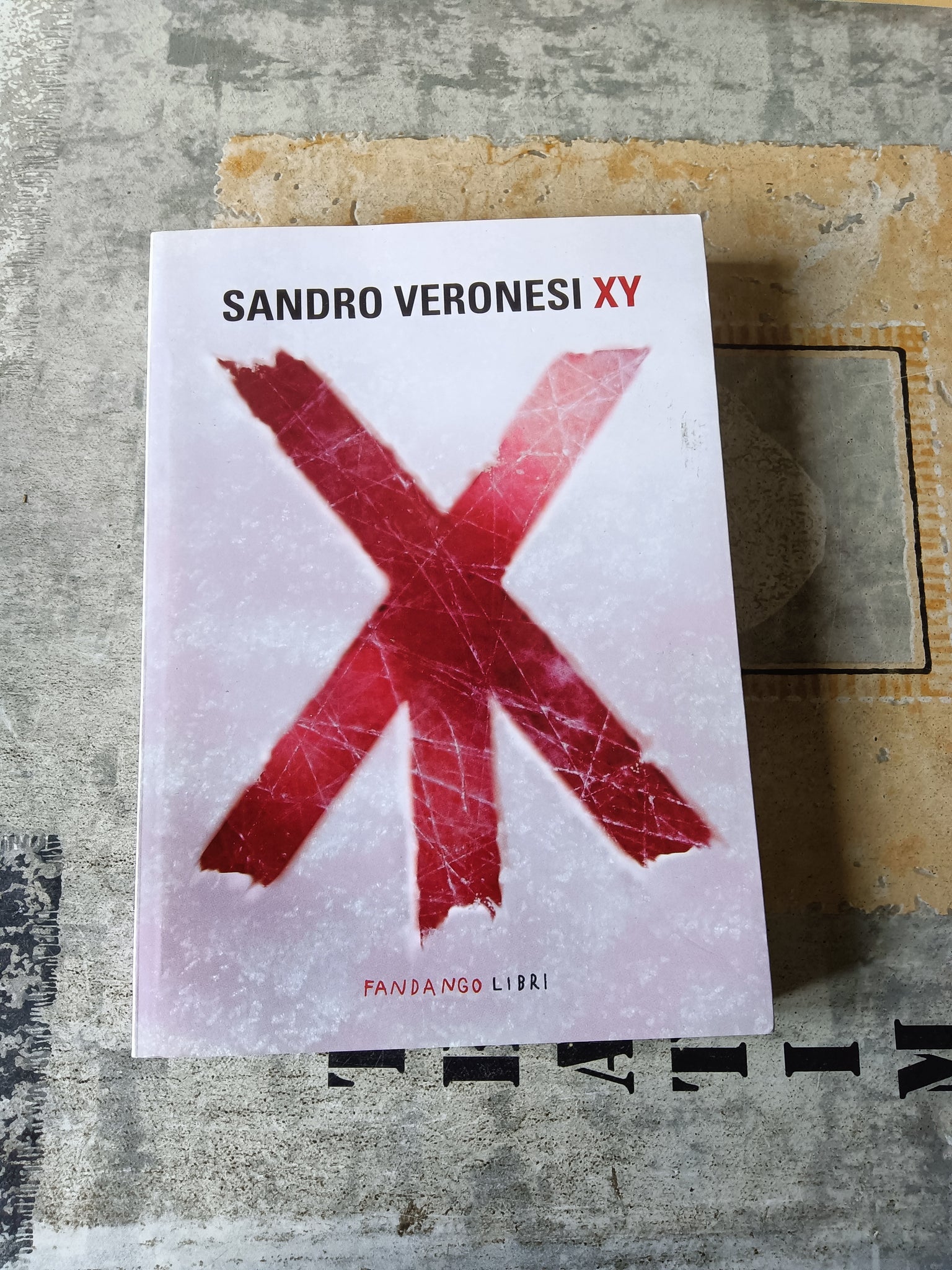 XY | Sandro Veronesi