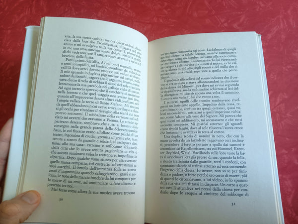 Il nipote di Beethoven | Luigi Magnani - Einaudi