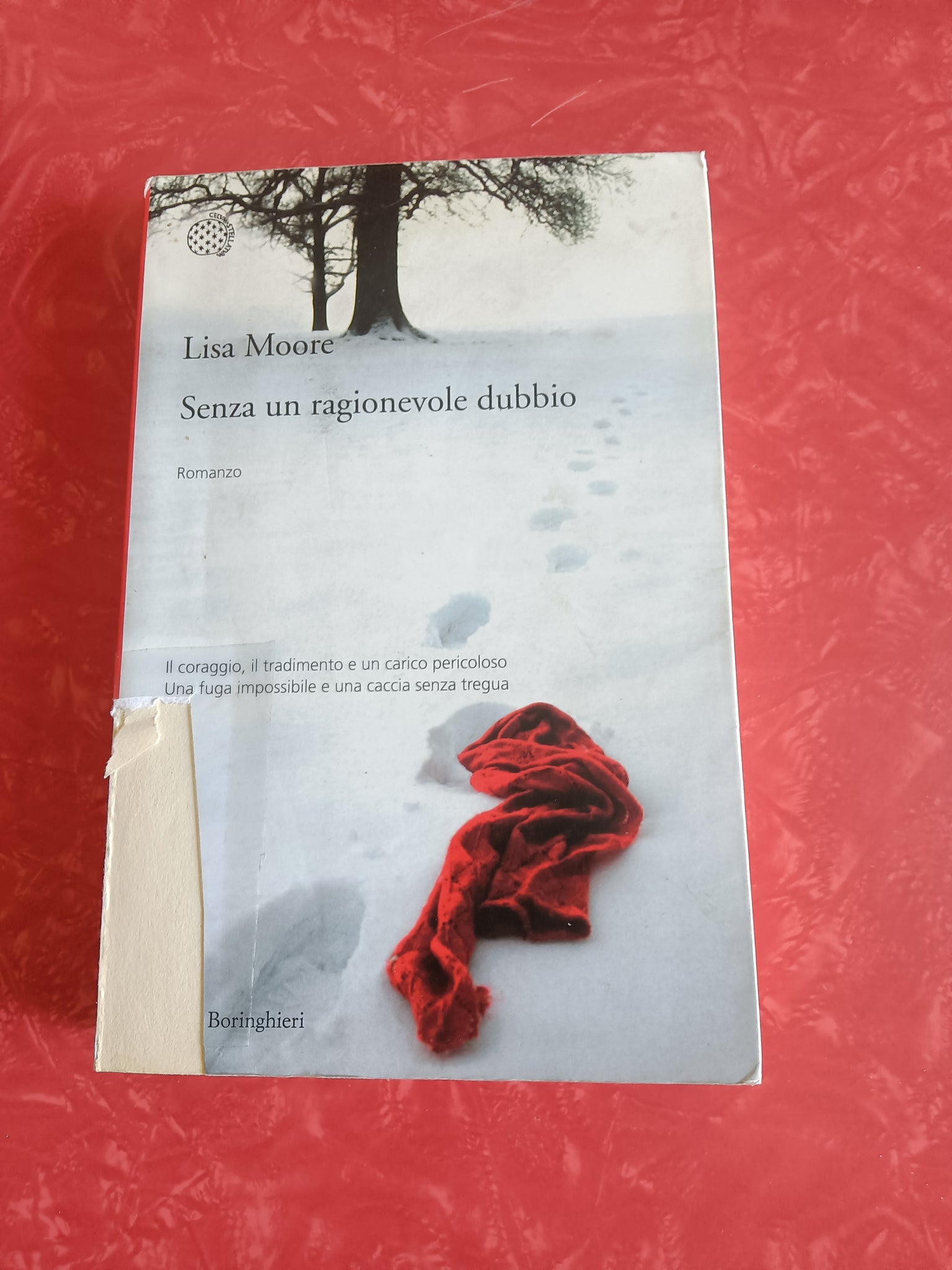 Senza un ragionevole dubbio | Lisa Moore - Boringhieri