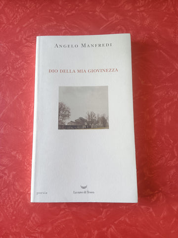 Dio della mia giovinezza | Angelo Manfredi - La nave di Teseo