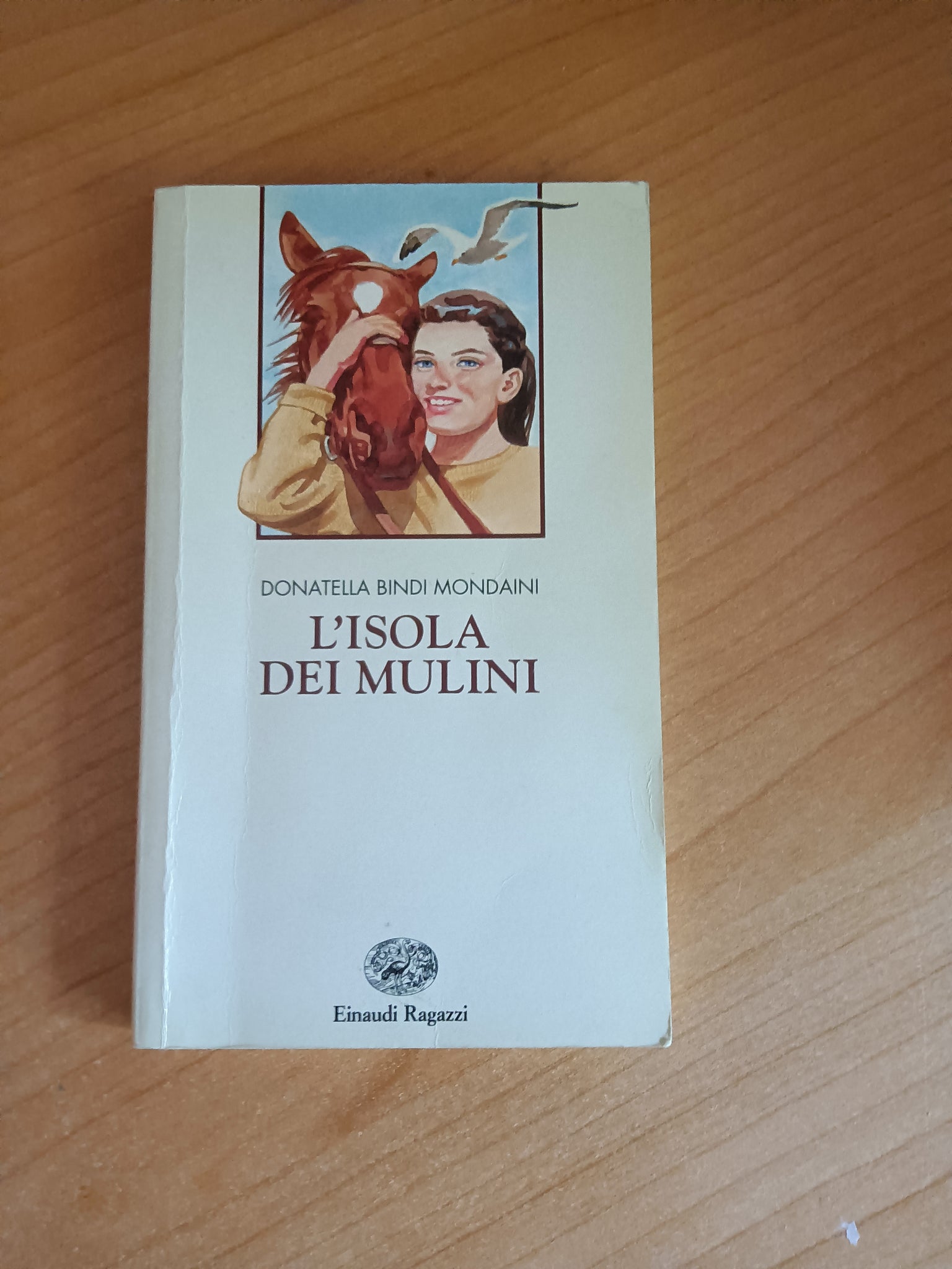 L’isola dei mulini | Donatella Bindi Mondaini - Einaudi