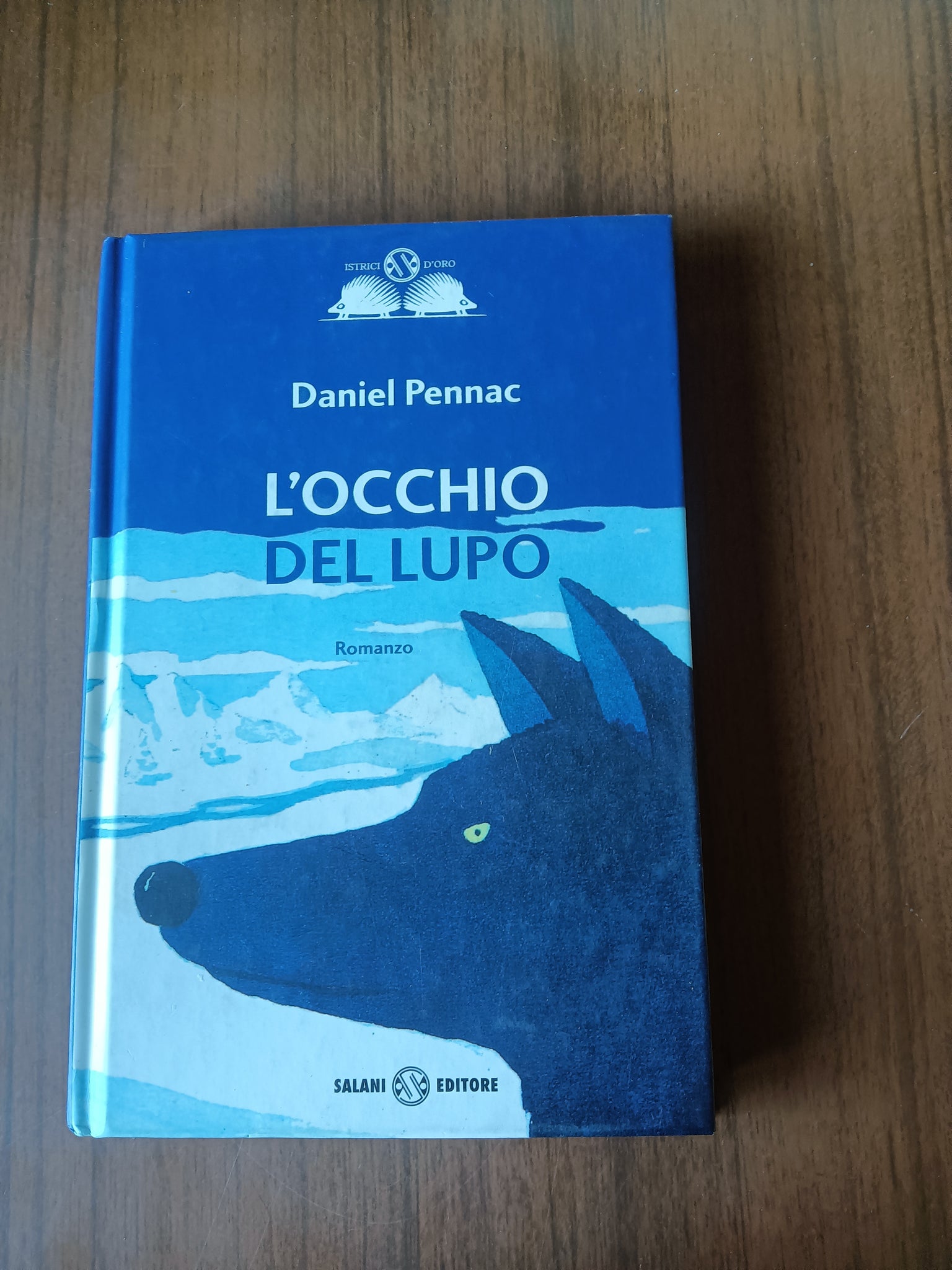 L’occhio del lupo | Daniel Pennac - Salani