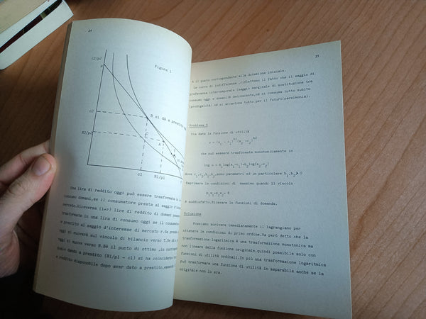 Esercizi sulla teoria della allocazione delle risorse | Gianpaolo Rossini