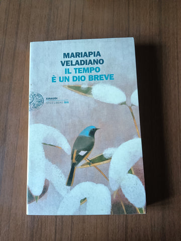 Il tempo è un dio breve | Mariapia Veladiano - Einaudi