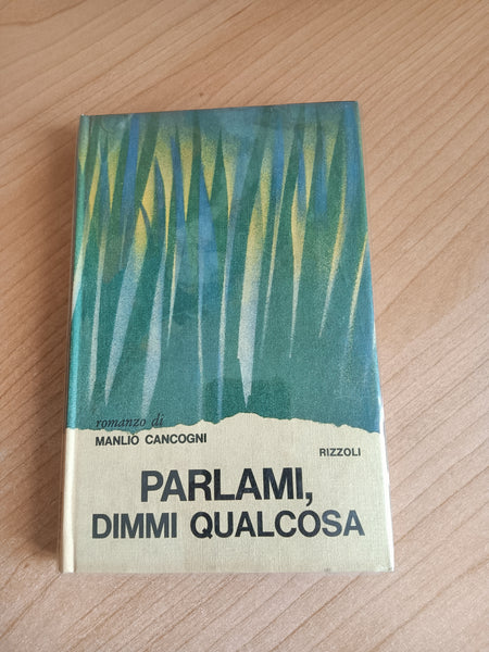 Parlami dimmi qualcosa | Manlio Cancogni - Rizzoli