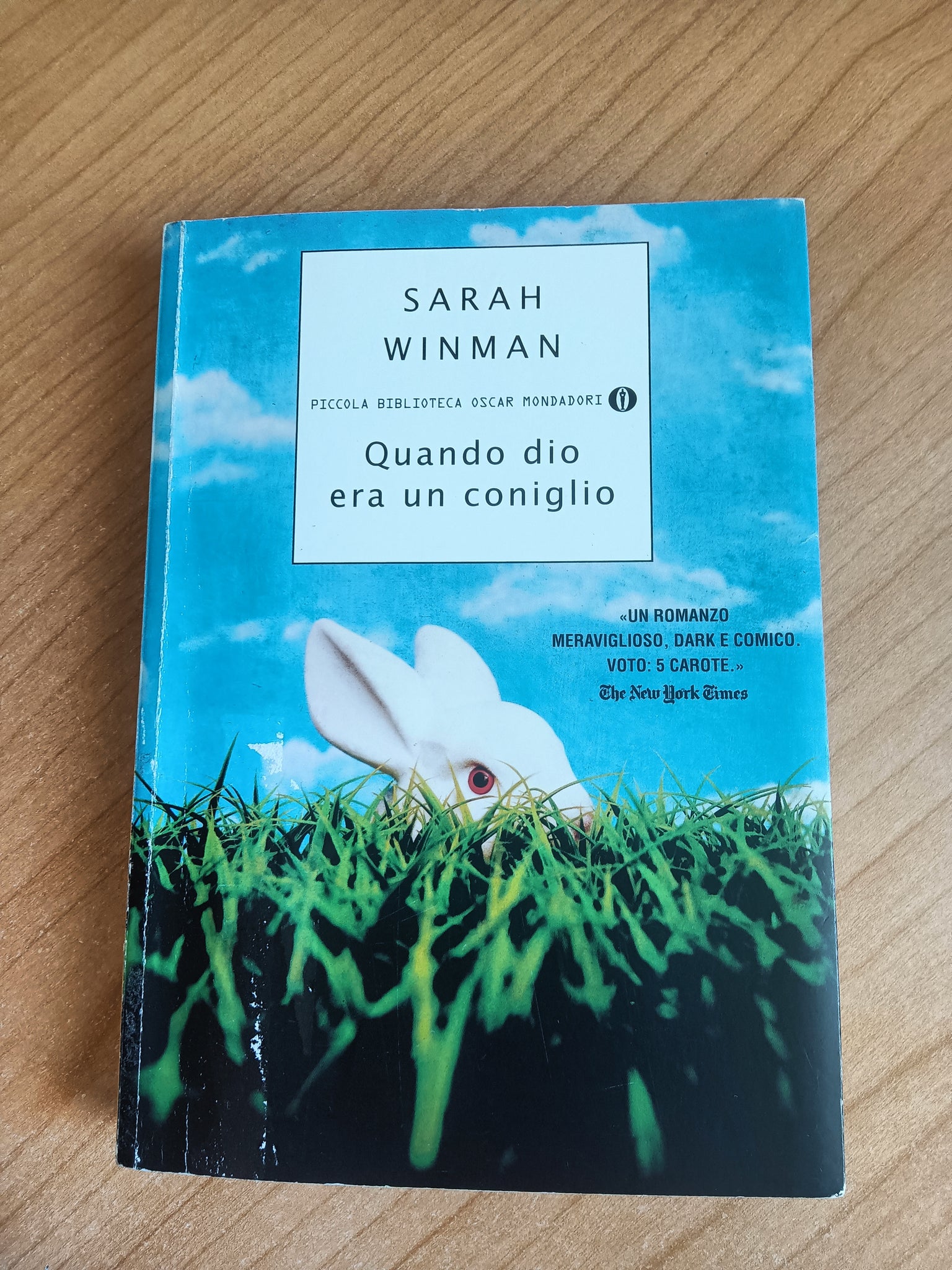 Quando dio era un coniglio | Sarah Winman - Mondadori