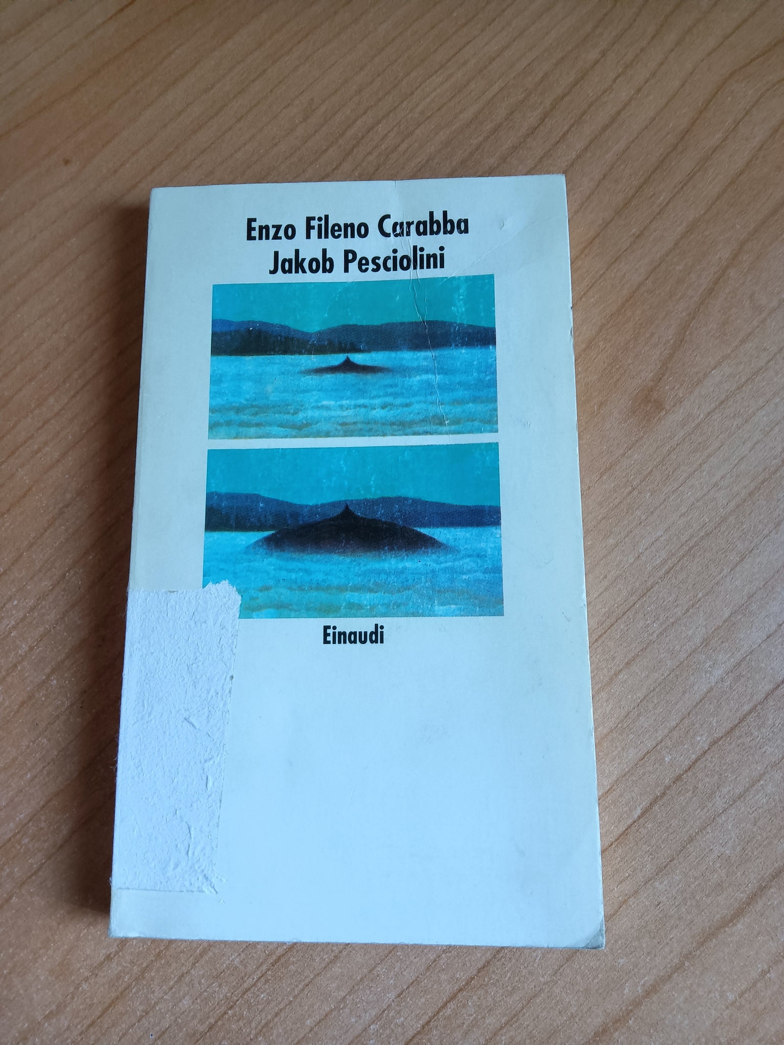 Jakob Pesciolini | Enzo Fileno Carabba - Einaudi