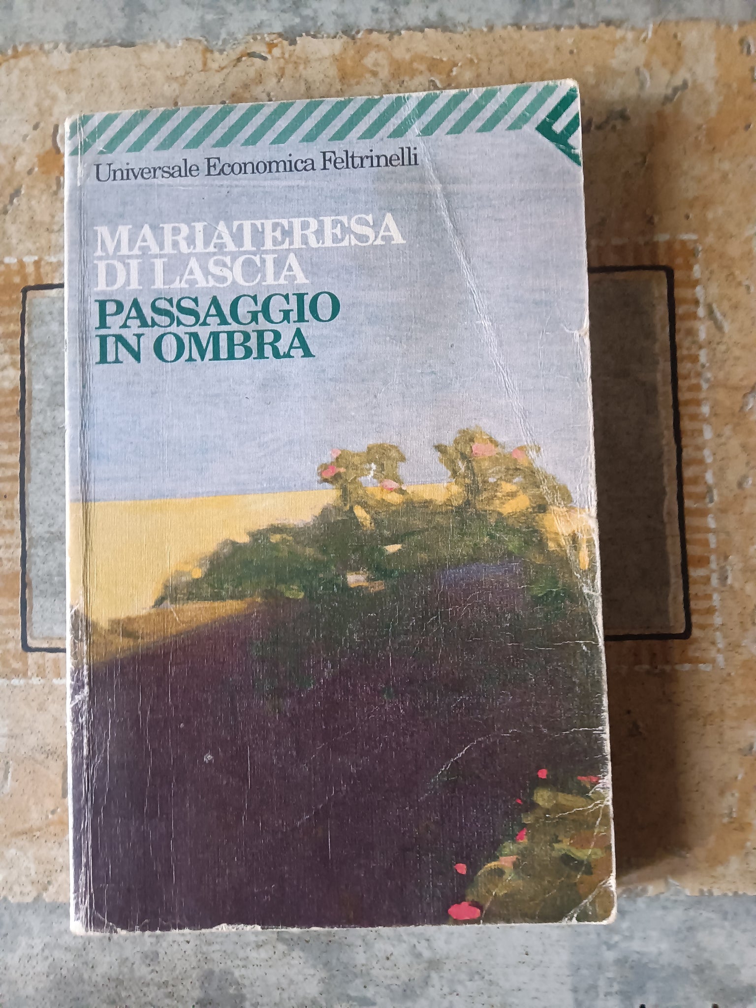 Passaggio in ombra | Mariateresa Di Lascia - Feltrinelli