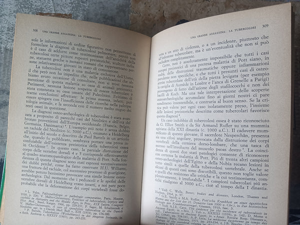 Le malattie all’alba della civiltà occidentale | Mirko D. Grmek - Mulino