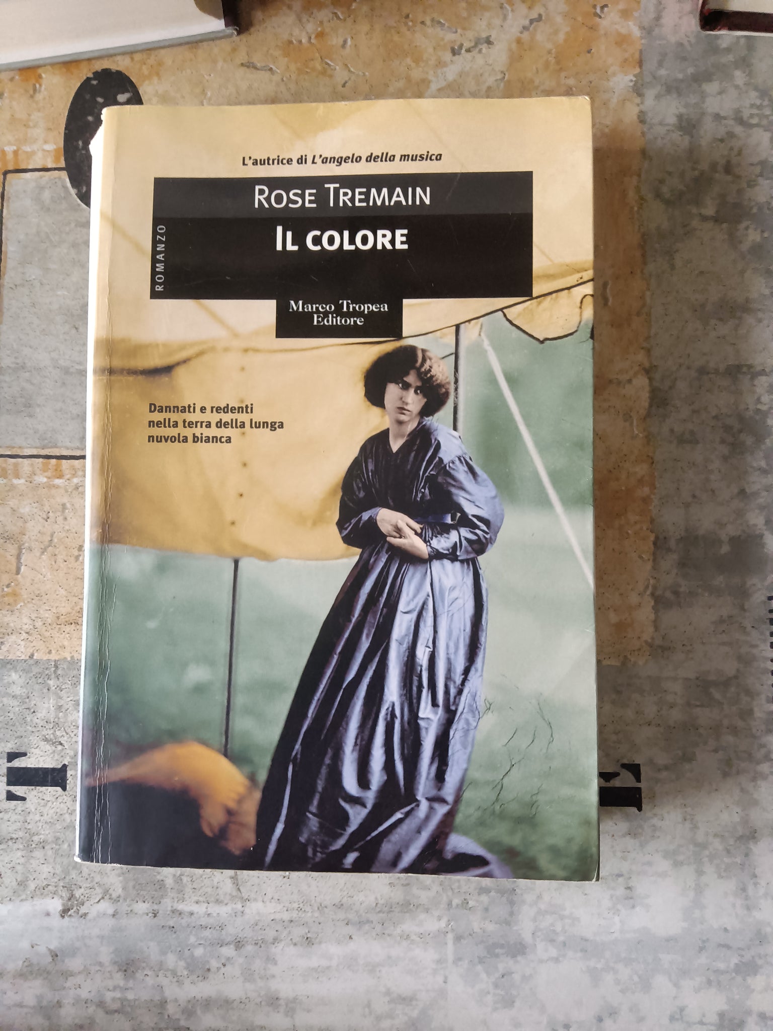 Il colore | Rose Tremain