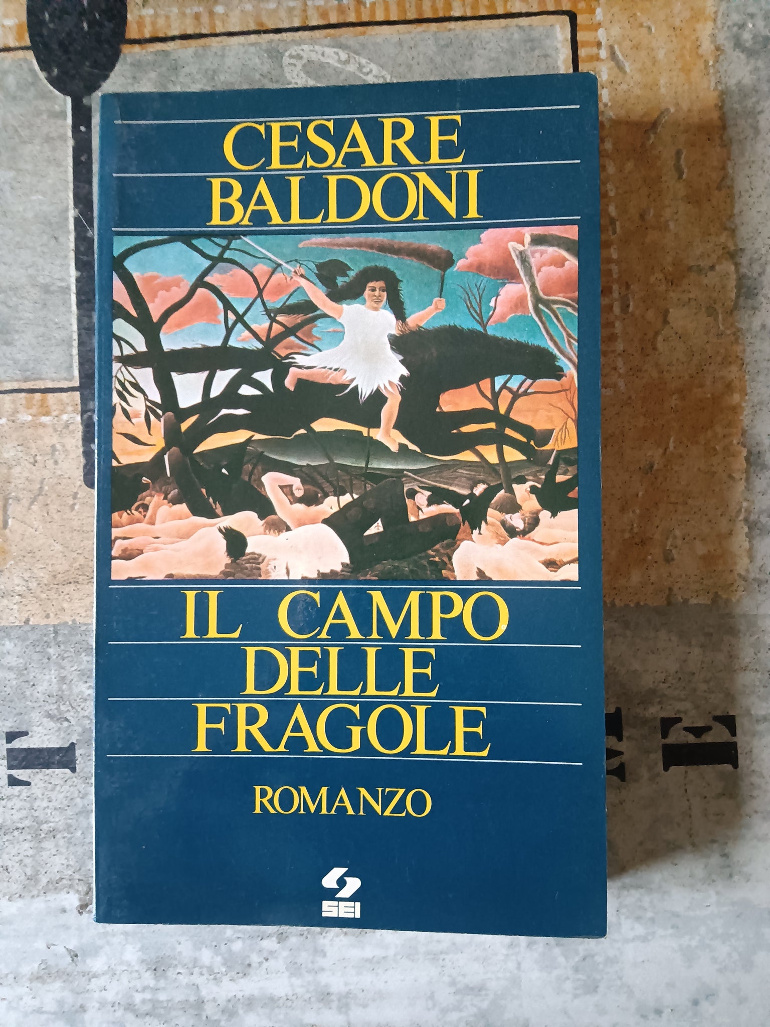 IL CAMPO DELLE FRAGOLE | Cesare Baldoni