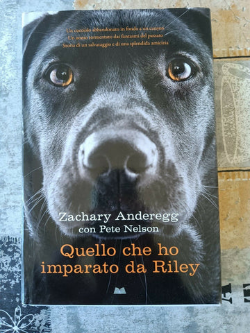 Quello che ho imparato da Riley | Zachary Anderegg