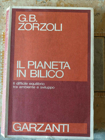 Il pianeta in bilico | Zorzoli G.B. - Garzanti